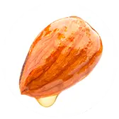 Ingredient-1