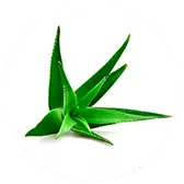 Ingredient-4